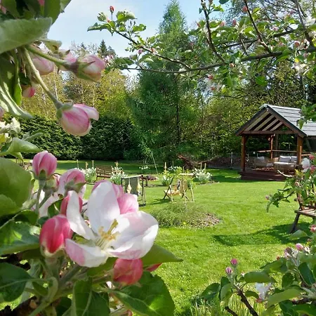 Mini Powozownia - Azyl Tylko Dla Doroslych Lodge